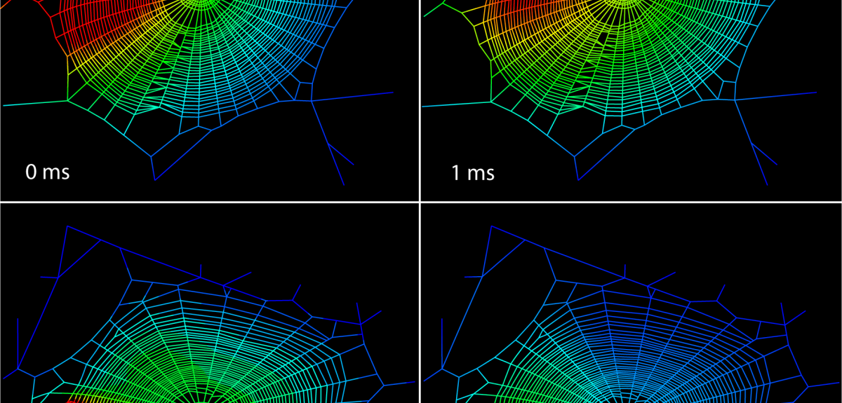 Spider web vibrations