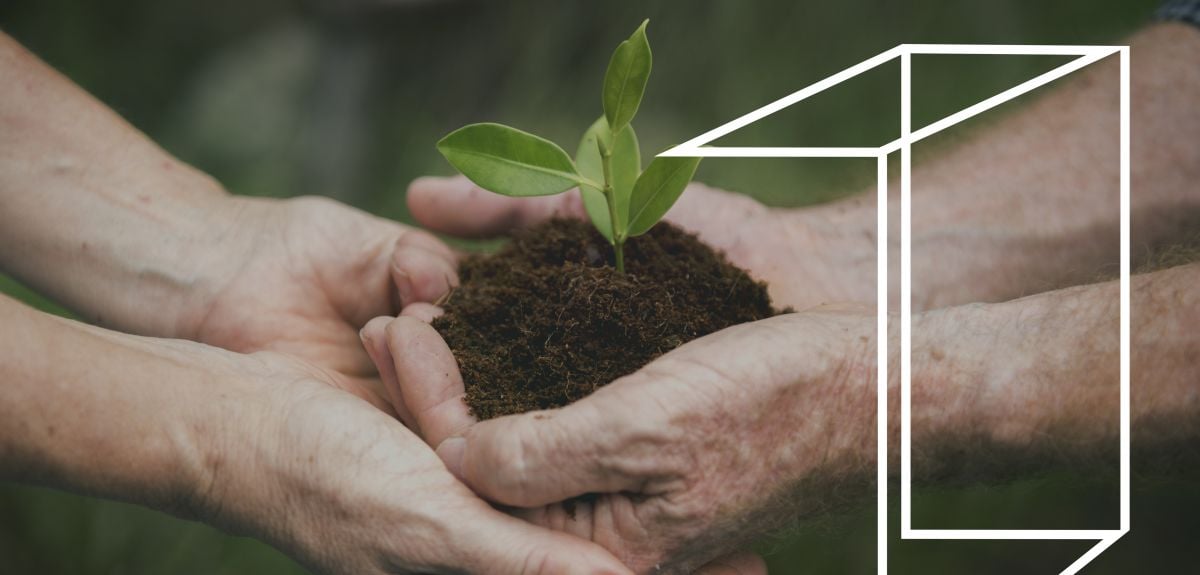 Symbol of sustainability