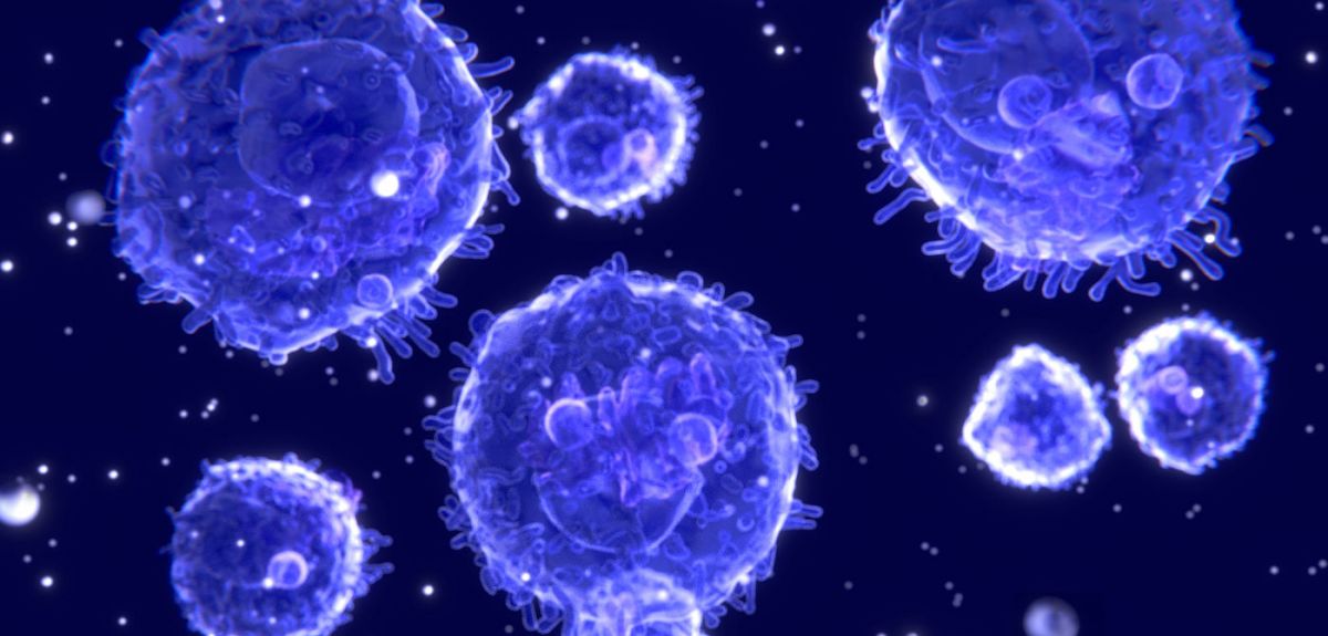 T-lymphocyte cells