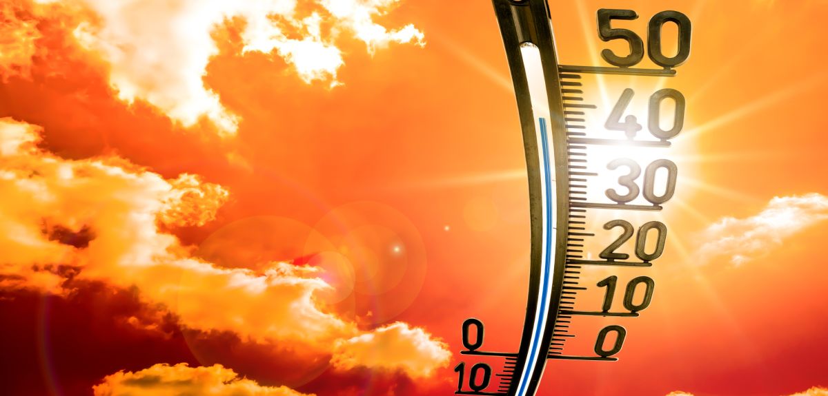 COPs need to stop obsessing over target setting alone and shift to following up on announcements and declarations