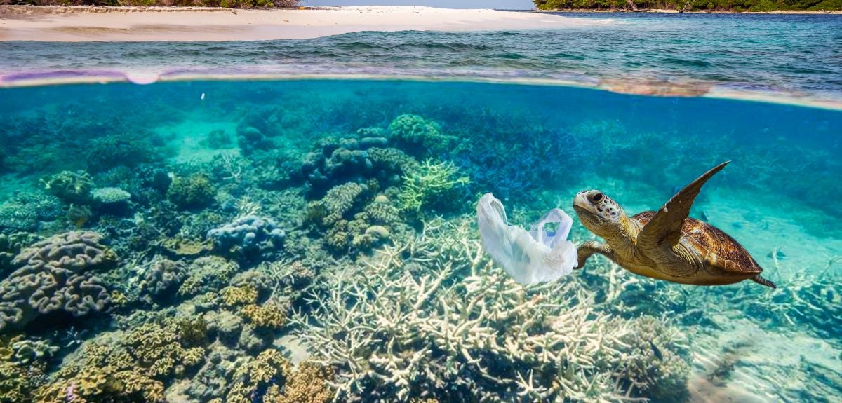 Image credit: Shutterstock