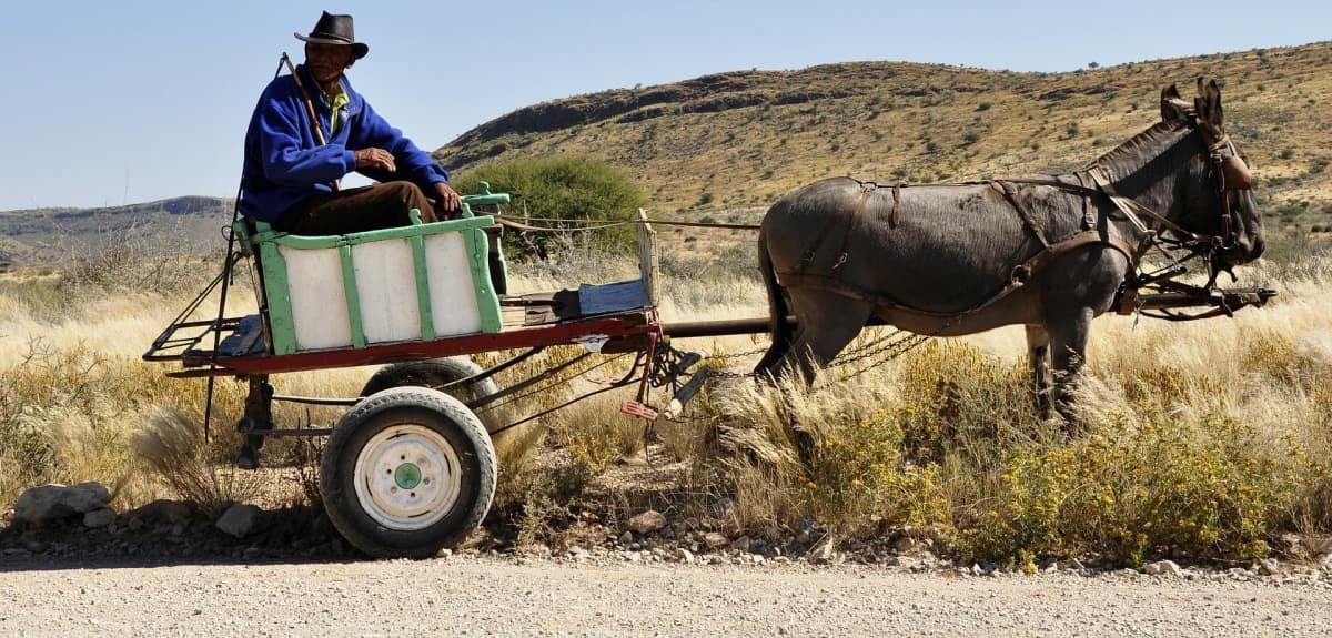 Photograph of farmer in cart pulled by donkey