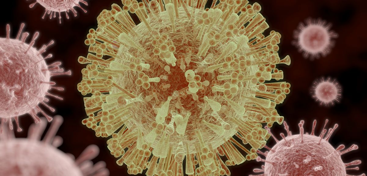 An illustration of the Zika Virus