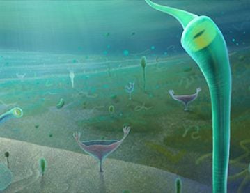 invertebrate ancestors