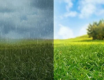 a field in rain and shine