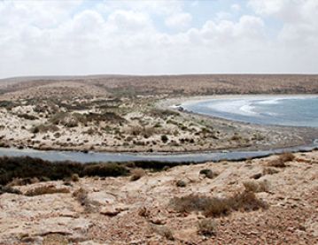 River flowing into sea