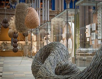 Exhibition in the Natural History Museum