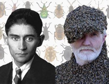 Kafka and insects
