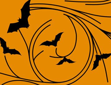 Bats illustration