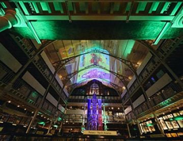 Pitt Rivers at night