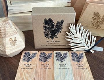 Items made from black pine