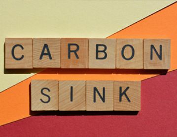 Carbon sink in tiles