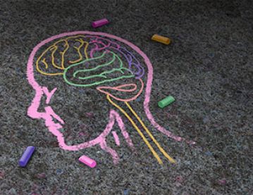 Chalk drawing of brain