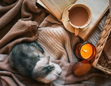 cosy scene with cat
