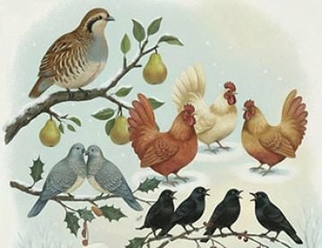 Illustration of birds