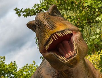 Model of T-Rex