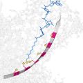 Molecular conveyor belt provides a foundation for nanoscale DNA-processing machines