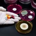 A hand in a latex glove holds an assortment of pills and capsules. Nearby are several petri dishes with bacterial colonies growing on agar.