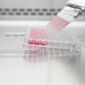 Researchers target ‘undruggable’ cancers