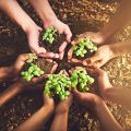 Closeup shot of a group of people holding plants growing out of soil