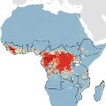 Areas where Ebola virus infection in animals is likely (colour scale ranging from red for most likely, through yellow to blue for least likely). The borders of African countries containing areas likely to be at risk are outlined.