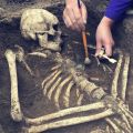 Close up of an archaeologist using a paintbrush to remove dirt from a half buried human skeleton. 
