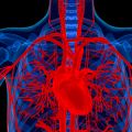Research reveals link between high cholesterol levels and risk of aortic valve disease
