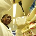 Research in Oxford's overseas research programme in Kenya