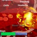 While playing as the malaria parasite, game players dodge immune cells in the bloodstream to get to the liver in order to begin the next stage of the malaria infection. 