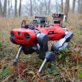A dog-like robot with a rectangular body and four jointed legs crouches in a forest.