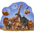 Dinosaurs evolved into a huge range of shapes and sizes over 170 million years.