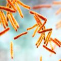 Structural study of antibiotic opens the way for new TB treatments