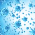 Influenza virus molecules set immune response into overdrive