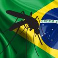 Mosquito in front of the flag of Brazil