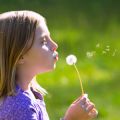 Child's breath: blowing on a dandelion