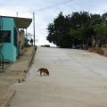 The new road in the Mexican neighbourhood studied.