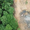 Aerial photo showing how deforestation is used to make way for palm oil plantations