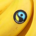 Fairtrade sticker on yellow banana
