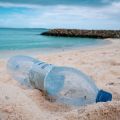 Plastic bottle on a beach in the Maldives