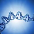 DNA strand model - genetics illustration