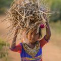 A girl with firewood in Andhra Pradesh: In times of crisis, additional household work, such as walking further to collect drinking water and firewood...often fall on girls and young women. Credit: Shutterstock.