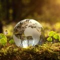 Credit: Shutterstock. True Planet: The world is in a climate crisis, and Oxford researchers are at the forefront of trying to find solutions in adaptation and resilience, nature, energy transition, clean road transport and green finance.