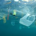 Plastic pollution in the ocean