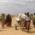Somali families: Our research found a 1 °C warming is estimated to lead to a ten-fold increase in expected displacement. It is alarming that, even this marginal change in temperature, has such a huge impact. It highlights the likely effect climate change 