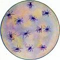 Germs of typhoid fever, vintage engraved illustration