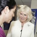Duchess of Cornwall sees the work of the Botnar Research Centre