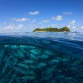 Can remote sensing help us to protect coral reefs?