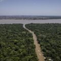 Amazon river emerges from the forest with an urban centre in the background. Credit: Anderson Coelho, Getty Images