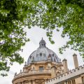 Top of the Radcliffe Camera through the trees