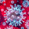 Oxford team to begin novel coronavirus vaccine research